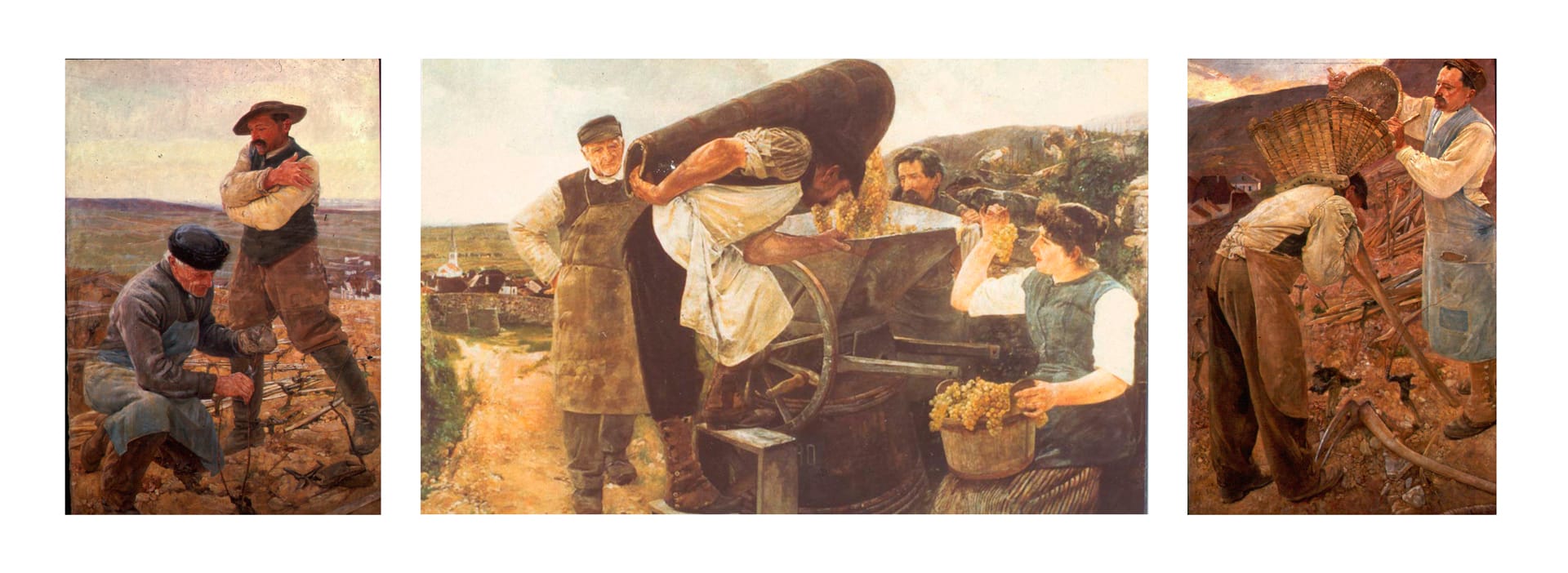 la-saison-de-la-vigne2